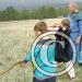 archery-day2-youth-06