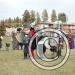 fof-2007-0133