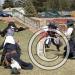fof-2007-0176